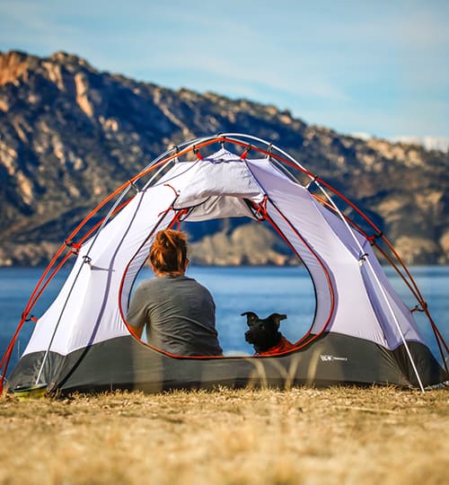 forest tour camping - Tour and Travel Agency