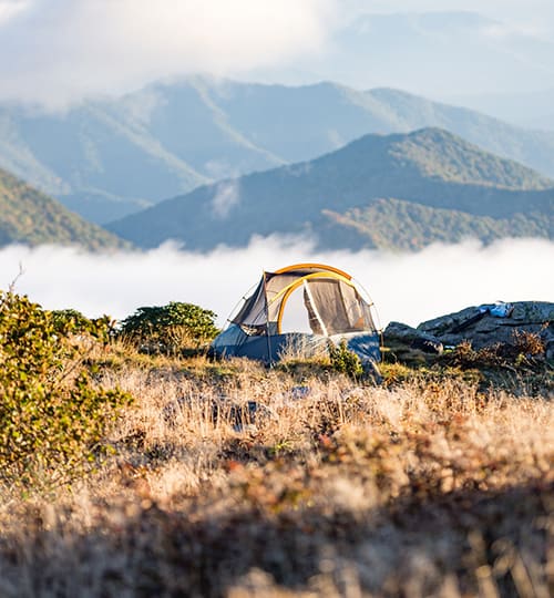 This image shows a great view of mountain and natural environment