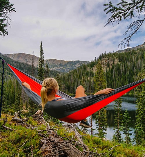 forest tours offer fun - Tour and Travel Agency
